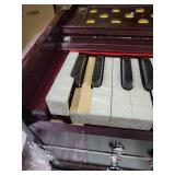 Bina musical instrument