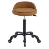Rolling Salon Stool Chair with Back Support Hydaulic Height Adjustable on Swivel Wheels