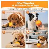 Crazydeer Dog Frozen Treat Toy for Aggressive Chewers - Freezable Nylon Chew Toys with Mold Boxes | No Oil Needed Smooth Screw | Puzzle Treat Dispenser for Small Medium Large Breeds - Retail: $16