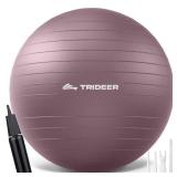 Trideer Yoga Ball for Pregnancy Office Ball Chair Exercise Ball for Birthing, Labor, Stretching and Core Workout  Anti-Burst, Slip-Resistant for Home Gym, Flexible Seating and Physical Therapy - R