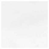 Levinsohn FRE111WHIT03 Fresh Ideas Waterproof Mattress Protector 100% Vinyl Hypoallergenic, Queen, White 2 Count - Retail: $13