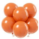ADOINBY 18 Inch Orange Balloons - 35Pcs Large Thick Orange Balloons Big Round Orange Latex Balloons for Birthday Baby Shower Wedding Graduation Orange Summer Themed Party Decorations - Retail: $8