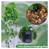 LOYWREE Small Artificial Hanging Mandala Plant with Pot Faux Plants Indoor Fake Small Potted Plant 28.7-in Long Faux Vine Shelf Decor Ideal for Indoor Outdoor Home Office Decoration (Black Pot) - Reta