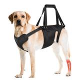Dog Lift Harness, Dog Sling for Large Medium Dogsft Hind Leg Support Pee-Able. Ideal for Seniors, Disabled, Injured and Arthritic Dogs in ACL Recovery, Secure Harness for Assisted Mobility (Large) - R