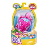 FACTORY SEALED - Little Live Pets Turtle- Styles May Vary
