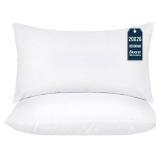 FACTORY SEALED - Halans (Pack of 2, White), 20 x 26 Inches Indoor Pillow - sealed in vacuum plastic