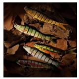 Lifelike Fishing Lures for Freshwater and Saltwater, Swimbait Crankbaits for Bass Trout Crappie Walleye Pike Bluegill Salmon Bass Fishing