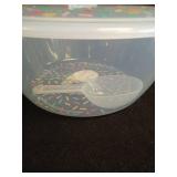 Decorative Sprinkle Pattern Food Storage Containers - Retail: $15