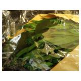 Holiday Green Leaf Preserved Bundle - Thresholdâ¢ - Retail: $15