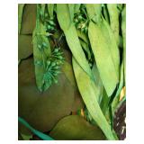 Holiday Green Leaf Preserved Bundle - Thresholdâ¢ - Retail: $15