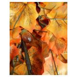 Remote Control&Timer-2 Pack 4 Ft Prelit Lighted Fall Maple Tree Thanksgiving Fall Decorations for Home, 3D Patented Pumpkin Lights Acorn 96 LEDs 8 Mode Halloween Thanksgiving Decor Porch Party Outdoor