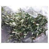 APPEARS NEW - Verinatural Olive Tree Artificial Indoor 8ft - UV Resistant Large Fake Plants - Realistic Faux Olive Tree in Pot - Tall Artificial Plants Outdoor for Home, Patio, Living Room, Office Dec