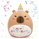 TITQWOP Capybara Birthday Plush 14in Stuffed Animal Pillow Cute Happy Birthday Capybara Gifts for Kids Boys Girls (Birhtday Capybara Plush Pillow)