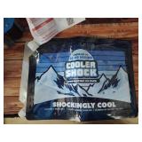 Cooler Shocker Long-Lasting Ice Pack Set - Retail: $19