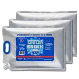 Cooler Shock Reusable Ice Packs for Cooler - Long-Lasting Freezer Packs with Built-in Handle - Large Cooler Size, Pack of 3 - Retail: $35