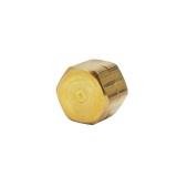1/4 in. OD Compression Brass Cap Fitting