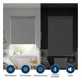 Blackout Cordless Roller Shades Blinds for Windows,Free-Stop Window Shades Pull Down, Blackout Blinds for Indoor Windows, Home, Office, Thermal Insulated Fabric, UV Protection, Grey,25" W x 72" H