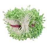 HAHIYO 700Pcs 3mm Light Green Pearl Double Head Flower Stamen Pistil Hand-Made Artificial Flower Pistil para Flore Pearlized Floral Stamen Flower Pollen Stamen for Flower Making Scrapbook Decoration