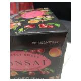 Bonsai Sparkling Water Cherry Peach Flavor 8-12 Oz Cans