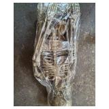 DUBEDAT 42inch108cm 2.4lb Skeleton - Full Body Halloween Skeleton with Movable Joints for Best Decoration
