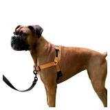 ShawnCo Dream Walk No-Pull Dog Harness- Adjustable, Comfortable, Easy to Use Pet Halter to Help Stop Pulling for Small, Medium and Large Dogs (Sunset Orange, M)