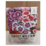 Sweet William Color Blend Flower Seeds - Dianthus Barbatus 4pk