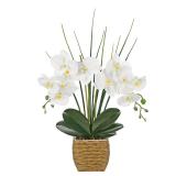 Hollyone 21.6\ White Orchid Artificial Flowers Fake Orchid in Rattan Woven Vase Faux Orchids Phalaenopsis Arrangement in Pot for Office Table Centerpiece Shelf Wedding Indoor Outdoor Home Decor - Reta