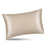 ALASKA BEAR Natural Silk Pillowcase, Hypoallergenic, 19 Momme, 600 Thread Count 100 Percent Mulberry Silk, Queen Size with Hidden Zipper (1,Champagne Gold) - Retail: $30