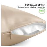 ALASKA BEAR Natural Silk Pillowcase, Hypoallergenic, 19 Momme, 600 Thread Count 100 Percent Mulberry Silk, Queen Size with Hidden Zipper (1,Champagne Gold) - Retail: $30