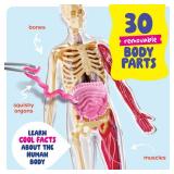 DanandDarci Human Anatomy Squishy Body Model - Science Kits for Kids Ages 4-8 - STEM Toys for 4 5 6 7 8 Year Old Boy Birthday Gift - Learning Educational Toys for Ages 5-7 Boys Gifts - Skeleton Parts 