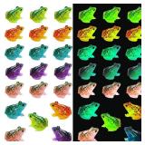 Barydat 40 Pcs Miniature Frog Figurines Luminous Mini Resin Frog Figures Model Garden Decor DIY Terrarium Craft Ornament Accessories for Moss Landscape Decoration (0.98 x 0.98 Inch) - Retail: $13