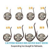 Catfish Hooks Big River Bait Hook Size 6/0,50PCS High Carbon Steel Fishing Hooks Saltwater Black Nicke Heavy dutyl