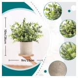 Der Rose 3 Pack Mini Potted Fake Plants Artificial Plastic Eucalyptus Plants Topiaries for Home Office Desk Farmhouse Room Bathroom Decor - Retail: $24