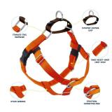 2 Hounds Design Freedom No Pull Dog Harness, Adjustable Harness, Easy Walking and Comfortable Control, Fits Small, Medium and Large Dogs, Solid Colors, Made in USA, 1" MD, Rust