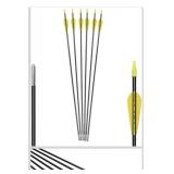 6875 Fiberglass Arrows Archery 24Inch Target Shooting Safetyglass Recurve Bows Suitable for Youth Children Woman Beginner (tigerspot Yellow Vanes