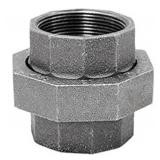 Anvil International 1-1/4 in. FPT x 1-1/4 in. Dia. FPT Galvanized -*Box of 14*