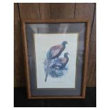 Phasianus deccollatus wall art