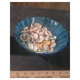 Tissue box | various sea shells and ceramic frog decor