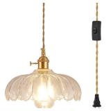Woderdeng Glass Plug in Pendant Light,Vintage Copper Lamp Holder Hanging Lamp,Pendant Light for Kitchen Island, Bedroom, Dining Room, Living Room (9.2in)