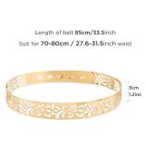 BABEYOND Metal Waistband Skinny Belt Adjustable Waist Strap Belt for Dress (Style-15-Gold, Medium)