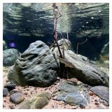 KINGRUI Aquarium River Rock Decorative Stones Fish Tank Rocks Aquarium Landscapes 20LB Decoration Stone for Aquariums Aquascaping Terrariums,Paludariums,and Gardens(4-9inch/4PCS)