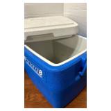 Two small coolers.  One has ice packs