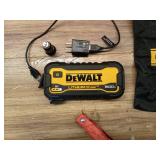 DeWalt 1600 Peak Amp Lithium Jump Starter with USB Power Bank DXAELJ16