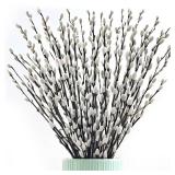 Oning 60 Stems 17ï¼Real Dried PussyWillow Branches for Vase, Natural PussyWillows with White Flowers, Snow Willow Branches for Indoor and Outdoor Decor, Wedding Home Party Hotel Fireplace Yard