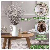 Oning 60 Stems 17ï¼Real Dried PussyWillow Branches for Vase, Natural PussyWillows with White Flowers, Snow Willow Branches for Indoor and Outdoor Decor, Wedding Home Party Hotel Fireplace Yard