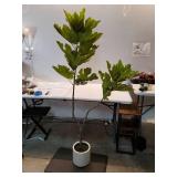 Artificial Turkey Fig Tree, Faux Plant with Realistic Leaves, Lifelike Home Decor Tree in Stylish Pot for Indoor, Office, Living Room, Housewarming Gift (5.5 FT)