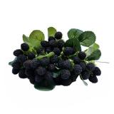 M2cbridge 4PCS Artificial Raspberry Red Berry Strawberry Faux Fruit BlackBerry Props Table Decoration (Black)