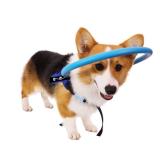 HQSLC Blind Dog Harness Guiding Device, Pet Anti-Collision Ring for Protective&Build Confidence, Blind Dog Accessories (XS)