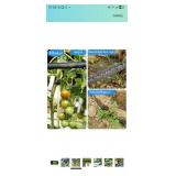Flat Soaker Hose 75 FT for Garden Beds, 75Ft 1/2" Linkable Consistent Drip Irrigation Hose Save 80% Water Leakproof Heavy Duty Double Layer Sprinkler Hose"