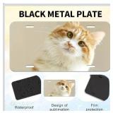 10 Pack 0.45mm Blank Metal Aluminum Plates Tag